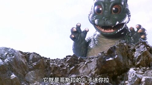 迷你拉被欺负,哥总果断出手,不料对手太强,在儿子面前被暴揍!