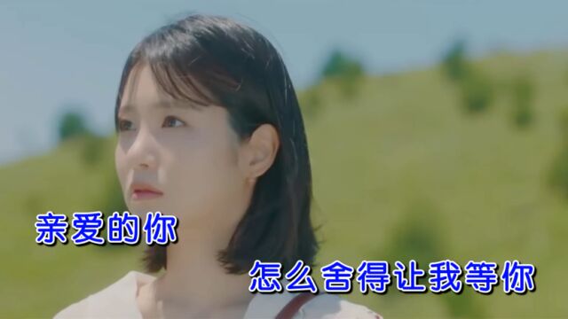 歌手黄嘉玲,杨旭勇,杜子阳《短暂的幸福》女声版KTV推荐