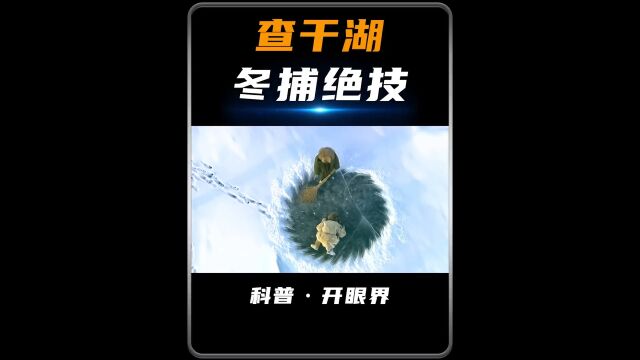 实拍查干湖冬捕绝技,凭什么一条头鱼能拍出上百万的价格#户外捕鱼 #查干湖冬捕 #非遗