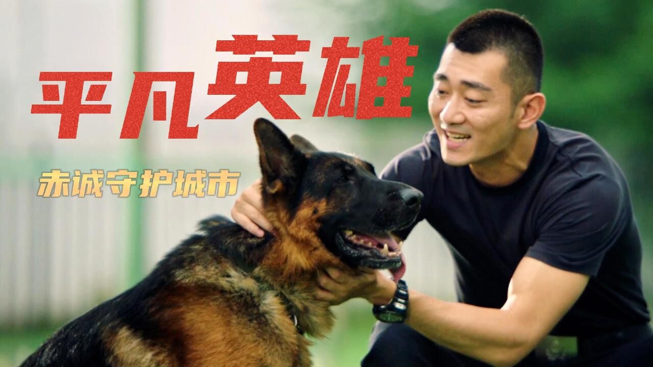 警犬剧照图片