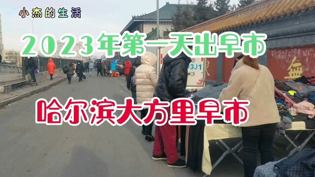 哈尔滨道外区大方里早市,2023年第一天出早市,有点小收获还行!