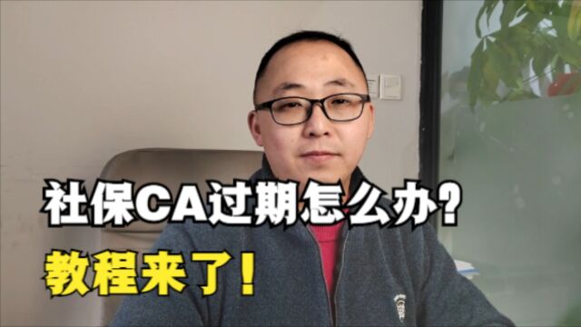 公司社保CA过期怎么办?怎么更新?教程来了!