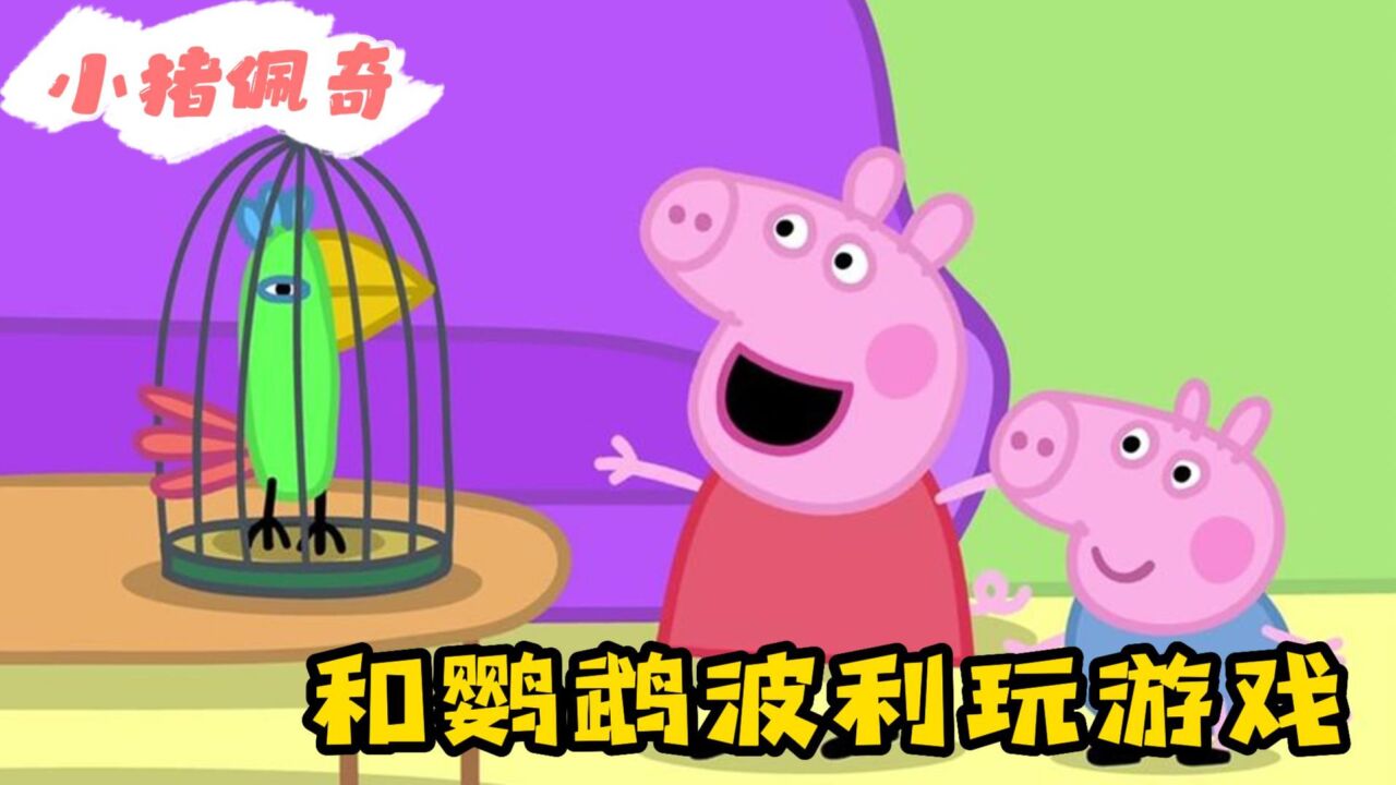小猪佩奇:佩奇迎来新朋友,鹦鹉波利入住佩奇家,把乔治高兴坏了_腾讯视频