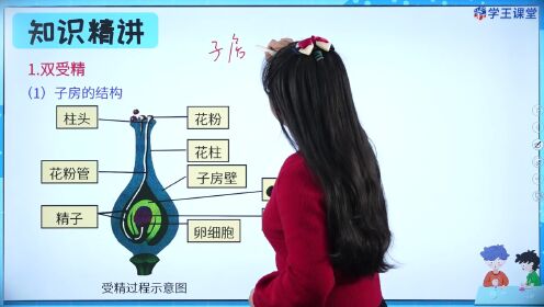 第70集双受精的过程_第70集双受精的过程_少儿_动画片大全_腾讯视频