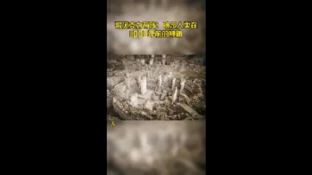 哥贝克力石阵:暗示人类在11000年前的神庙