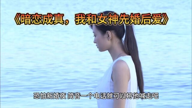 《暗恋成真,我和女神先婚后爱》(许莓陆知衍)完整~无弹窗