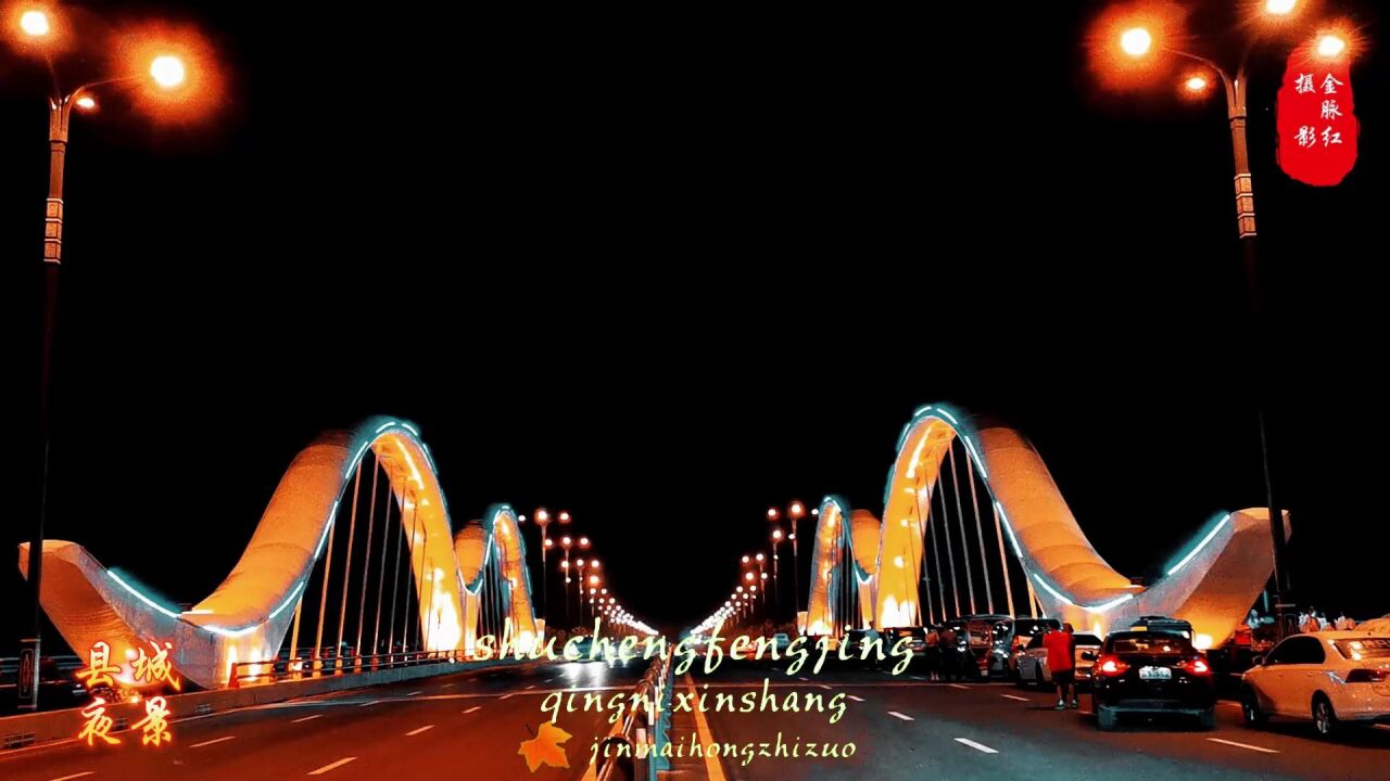 舒城县城夜景(金脉红)