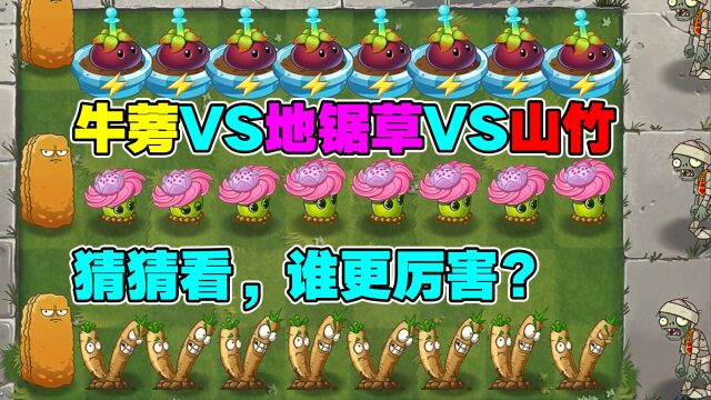 牛蒡VS地锯草VS山竹!猜猜看,谁更厉害?