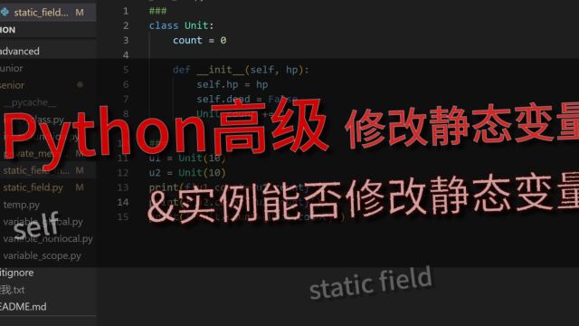 「Python」高级教程 通过实例访问类的静态字段