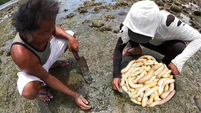 国外渔民赶海挖硬货,好几百一斤的海肠挖了一桶,直接做刺身吃