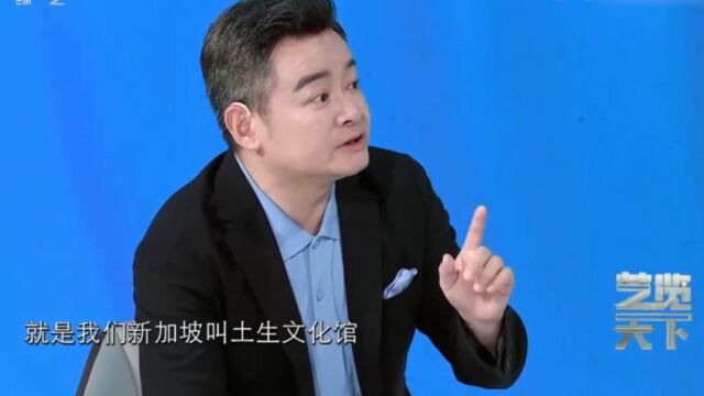 新加坡驻华大使介绍娘惹文化,长知识了