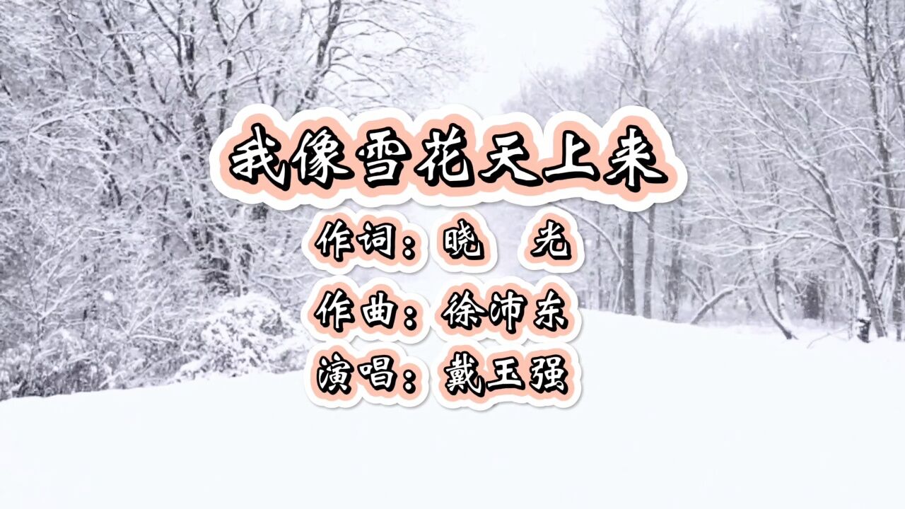 我像雪花天上來 作詞:曉光 作曲:徐沛東 演唱:戴玉強