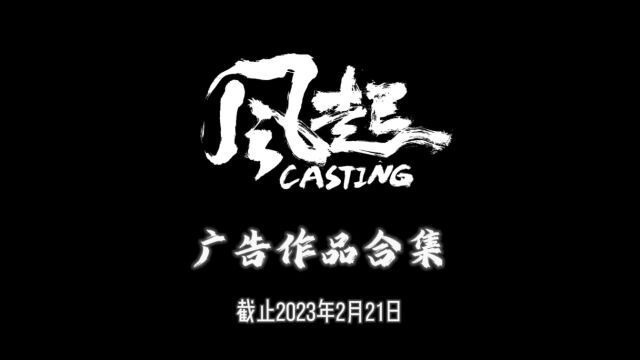 风起CASTING