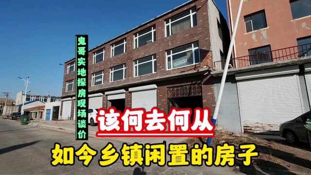 吉林省乡镇房价现今状况,鬼哥实地探房现场谈价,全程纪实拍摄