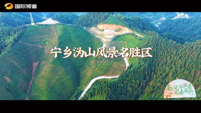 南风知我意 一起去旅行丨来宁乡沩山品茶纳凉,打卡宝藏避暑胜地