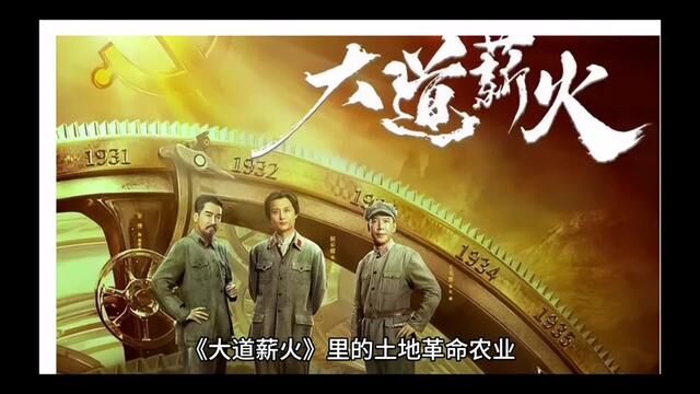 《大道薪火》里的土地革命农业合作社及经济发展之路说明了什么?#美拉德风