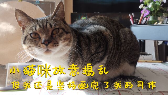 小猫咪故意捣乱,但我还是坚持画完了我的习作