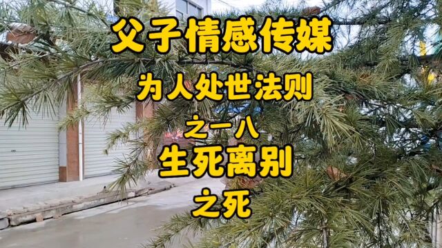 为人处世法则之一八生死离别之死?看父子情感传媒怎么说?