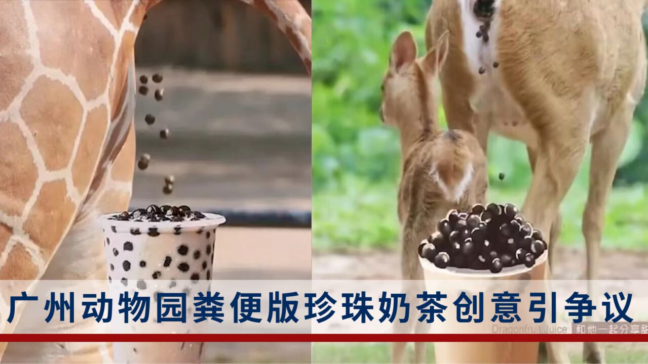广州动物园粪便版珍珠奶茶创意引争议,网友:观感不适
