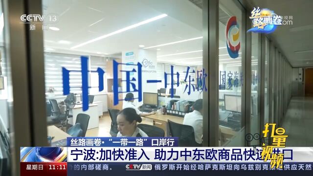 宁波:加快准入!助力中东欧商品快速进口