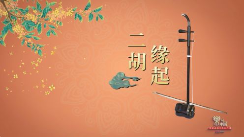 《乐动中国：中国传统乐器公开课》：一把二胡拉一生