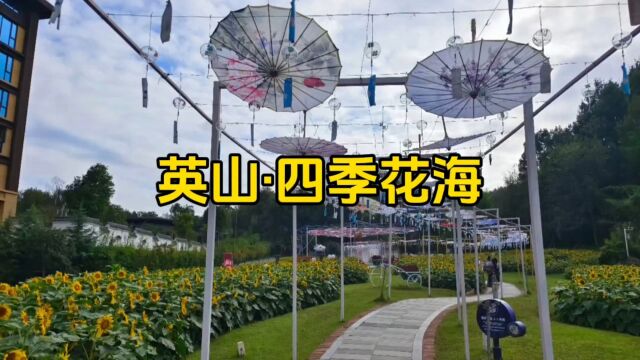 湖北英山ⷥ››季花海