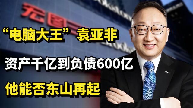 “电脑大王”袁亚非,从资产千亿到负债600亿,他能否东山再起?