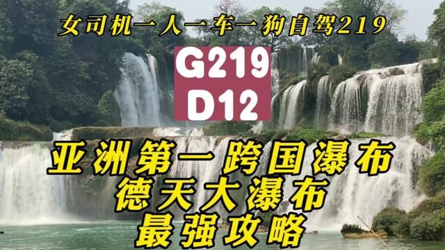 亚洲第一跨国瀑布德天瀑布,女司机保姆级最强攻略,速度围观#女司机一人一车一狗自驾219 #德天跨国大瀑布 #旅游攻略