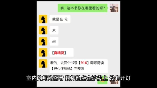 短篇《把心还给她》魏如韵顾南城小说完集