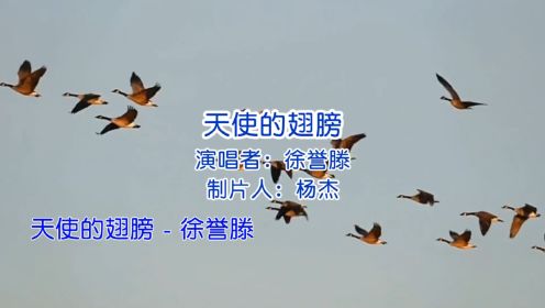 经典歌曲《天使的翅膀》伤感动听，歌词深入人心，感动了多少人