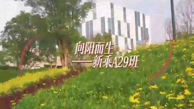 向阳而生——华夏航空新乘29班