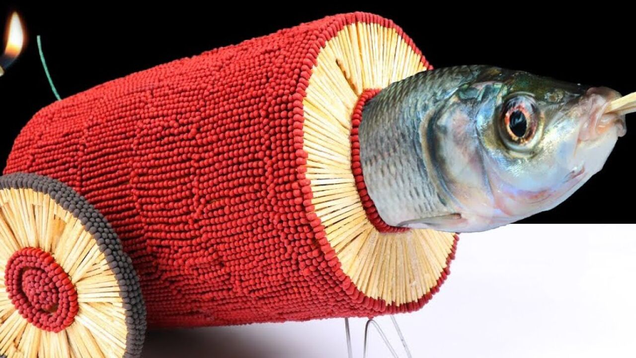 用10000根火柴烤鱼怎样?会更香吗?是美味还是黑暗料理?