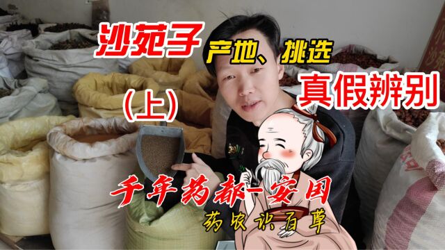 空有男儿心,透支男儿身,“沙苑子”把失去的补回来?(上)