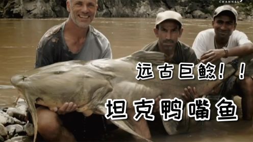 河中巨怪第九季：尼泊尔渔民被巨型鲶鱼拖进水中从此销声匿迹！