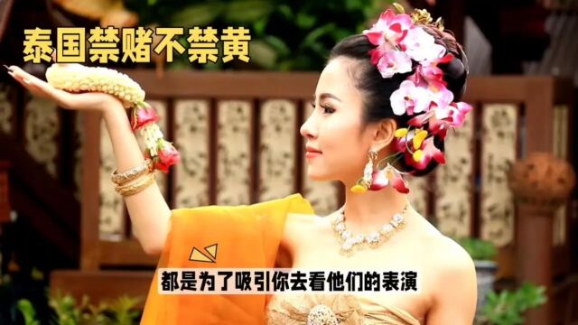 为什么泰国的人妖表演如此受欢迎?