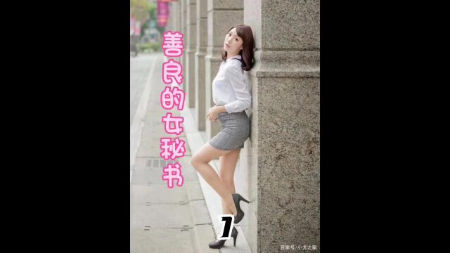 这样的女秘书想要吗?