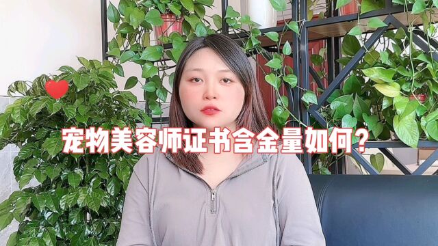 宠物美容师证书含金量如何!宠物美容师证书有哪些用途?#宠物美容师