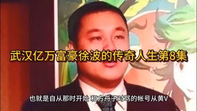 武汉亿万富豪徐波的传奇人生第8集