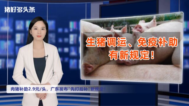 聚焦!多地再提及禁止违规调运!广东“先打后补”新规出炉