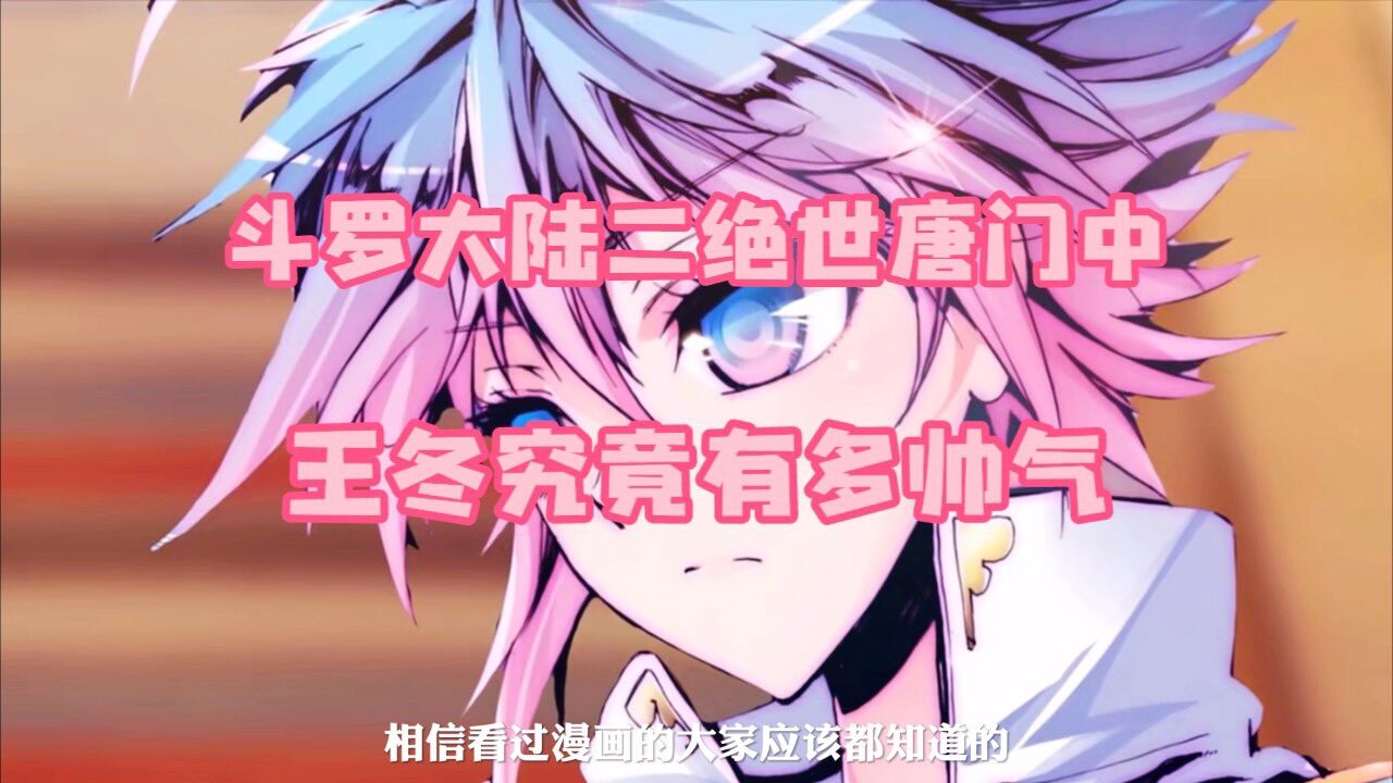 斗罗大陆二绝世唐门中 王冬究竟有多帅气