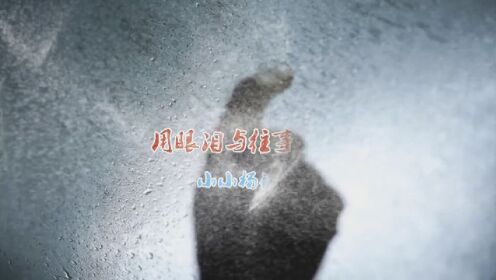 MV--《用眼泪与往事干杯》小小杨钰莹