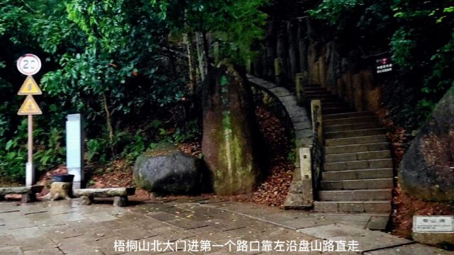 深圳梧桐山美丽登山道!泰山涧.