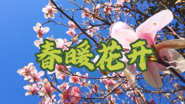 四月是春天最美的季节,让我们一起欣赏一首经典歌曲《春暖花开》