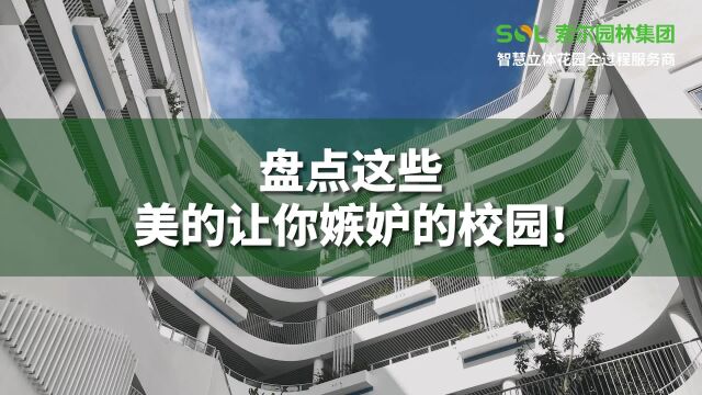 索尔园林集团——越来越多的学校变成当地的地标