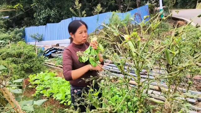 快50岁都没见过银行卡长怎么样,在中国打工把钱都存别人卡里