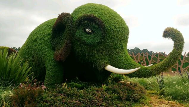 云南昆明巨型野象身披绿装栩栩如生惟妙惟肖 身型巨大亮出白牙长鼻弯曲活灵活现惹人喜爱