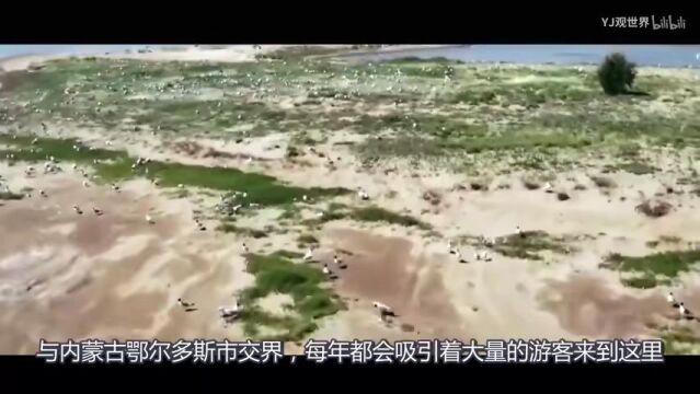 美丽中国|中国最大的沙漠淡水湖在哪