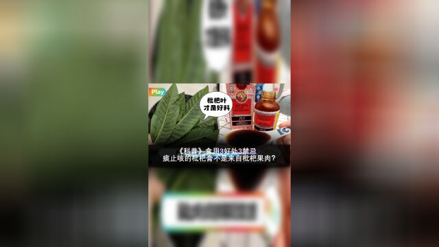 《科普》化痰止咳的枇杷膏不是来自枇杷果肉?食用3好处3禁忌