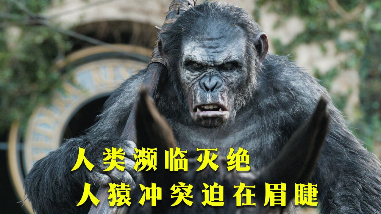 人类感染猿流感差点灭绝,凯撒带领族群不断进化,人猿之战爆发!_腾讯视频