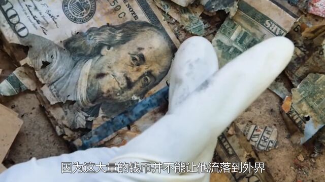 银行里作废的人民币,最后都怎么处理了?网友:看着都心疼